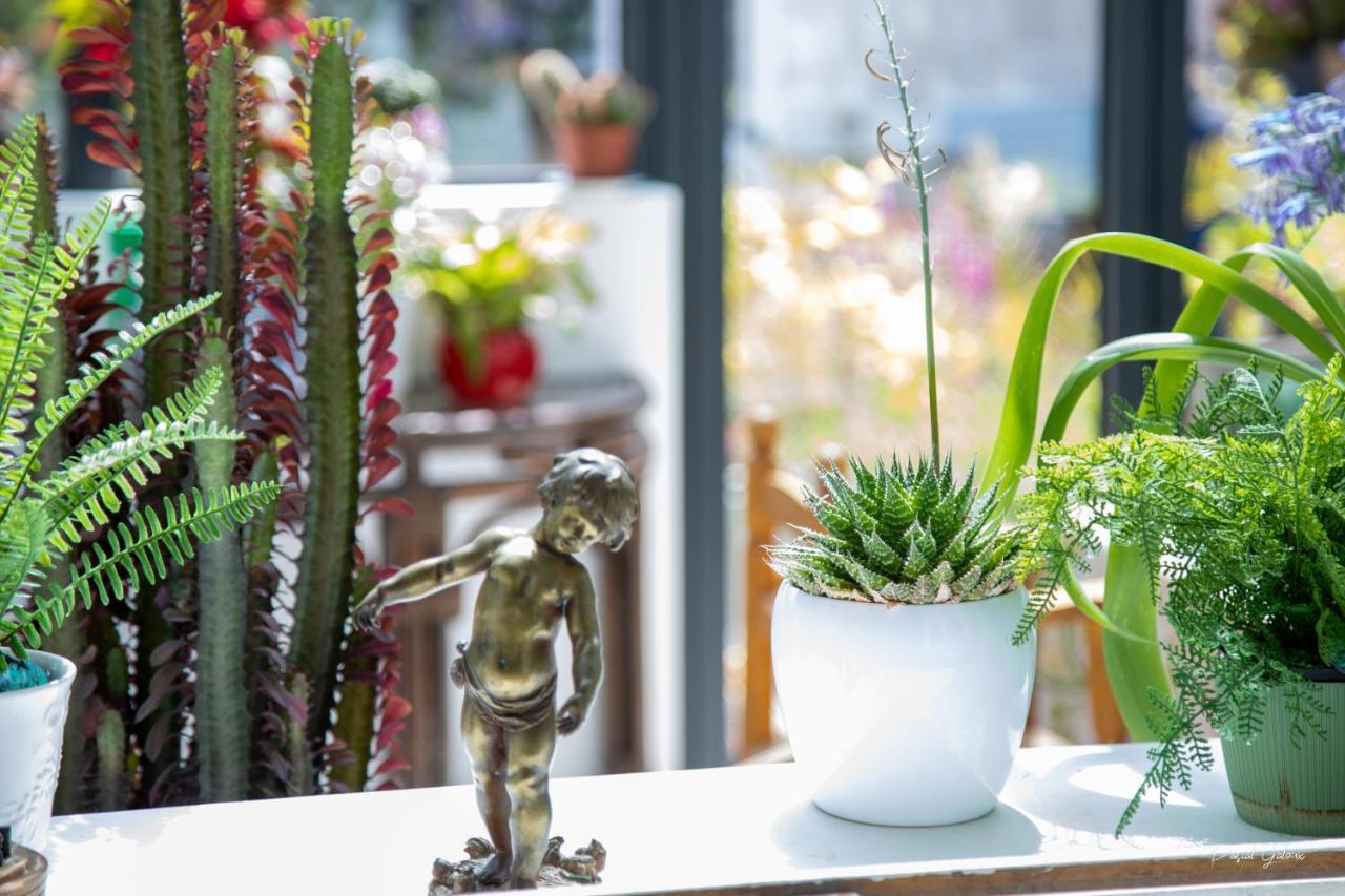Villa Marguerite 65 Rue Legout Lesage 76260 Ponts Et Marais ภายนอก รูปภาพ